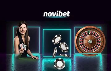support novibet|support .